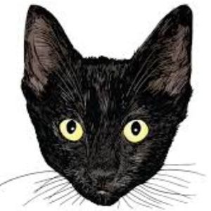 Meet your Posher, Rena